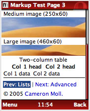 A table rendered in Opera Mini 3