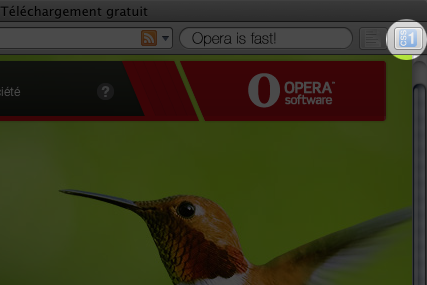 Opera Extension Button