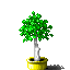 plant sprite